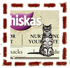Whiskas Flash Video Application Development